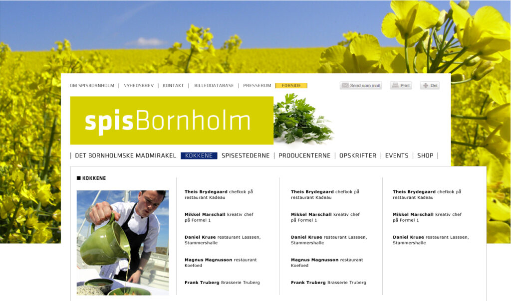 Illustration af webside - ikke publiiceret.