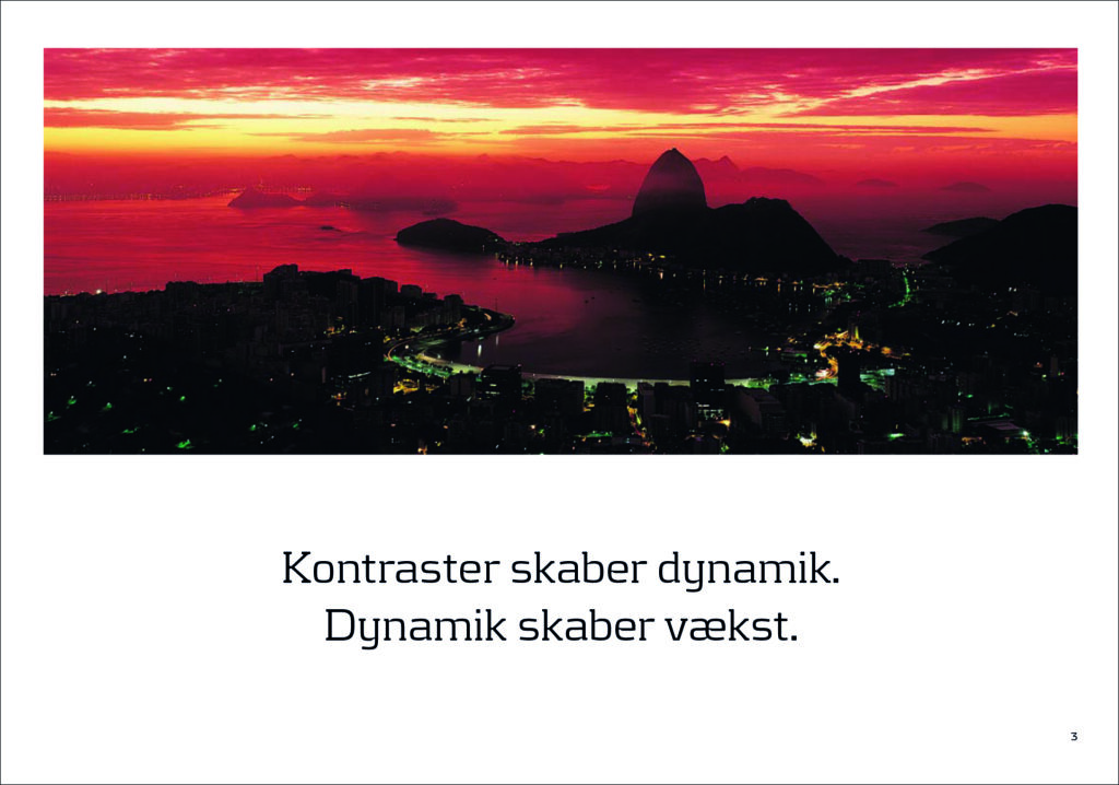 Det danske kulturinstitut i Brasilien