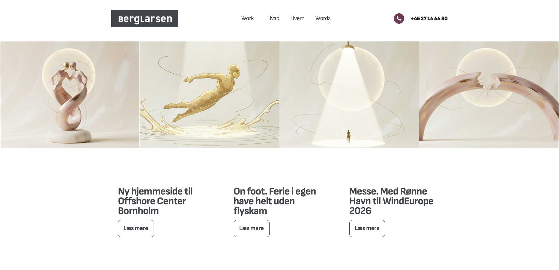 Website til BergLarsen kommunikation